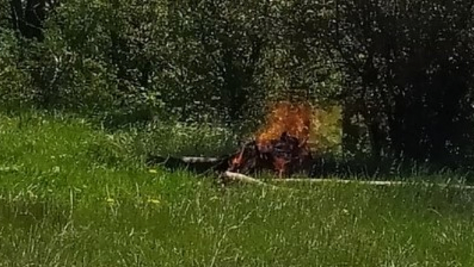 ŠTA MOŽE POĆI PO ZLU Vetar duva svom snagom, a on zapalio vatru ispod žbunja, definitivni pobednik prvomajskog uranka