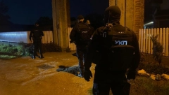 PUSTILI PSE NA NAPADAČA! Ubicu sateruju u ćošak!