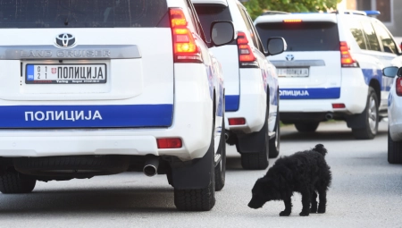 ONI SU ZAVILI SRBIJU U CRNO  Okrvavili su ruku zbog ljubomore, crne magije i svoje bolesti