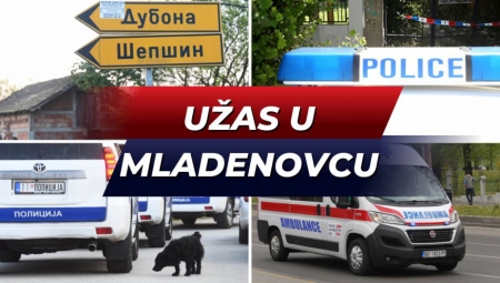 "DECA SU KRVARILA, NOSILI SMO IH" Meštani sela otkrili jezive detalje masakra kod Mladenovca: Policajac je goloruk krenuo  na ubicu