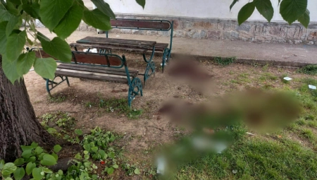 JESTE LI VI MAJKA? VIDITE, JA VIŠE NISAM... Potresne reči majke ubijenih brata i sestre iz Mladenovca