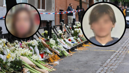 "ŽELEO JE DA MAJKA ČUJE KRIKE NEVINIH ŽRTAVA" Stručnjaci progovorili o masovnom ubici sa Vračara, sve je uradio zbog ovoga