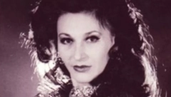 ONA JE DIVA ŽIKINIE DINASTIJE U pitanju je poznata pevačica, o njenoj haljini priča se čak četiri decenije