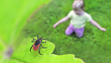 ZARAZA SE ŠIRI - ČEKAONICE NA PEDIJATRIJI PUNE ZABRINUTIH RODITELJA! BRNU virus napada mališane!