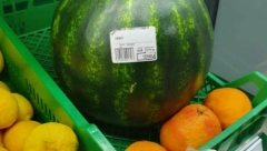 SLIKA LUBENICE IZ MARKETA PREPLAVILA MREŽE Srbi šokirani, "možete li zamisliti osobu koja će ovo da kupi"