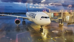 DIJASPORA LETOM IZ ČIKAGA STIŽE U SRBIJU Ogromno interesovanje za novu liniju "Er Srbije"