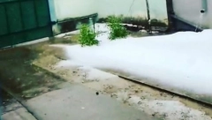 ŠTA JE TO PALO PO VOJVODINI USRED MAJA Sneg, led ili krupa? Građani se pitaju da li je nešto ostalo od voća i useva