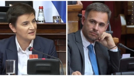 ALEKSIĆ OPET NAPAO DOKTORKU PEJOVIĆ Brnabić: Prošli put sam burno reagovala, sada vas molim kao boga da ostavite dečije psihologe na miru!