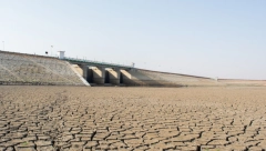 HAOS U INDIJI Vladin zvaničnik ispumpao vodu iz jezera da bi našao svoj telefon