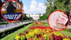 VELIKO INTERESOVANJE ZA TURISTIČKE VAUČERE Prijavilo se 3.653 ugostitelja, a od ovog datuma i građani mogu da rezervišu smeštaj