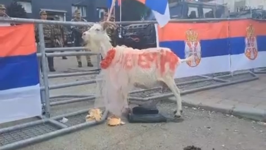 S ONE STRANE ULICE STANUJU DEVOJČICE KOJIMA MIRIŠE KOZA Kako je tihi srpski protest napravio bum u svetu  (FOTO/VIDEO)