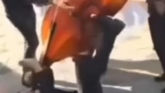 ONO KAD TE POGODI PESMA Ceo region vrišti od smeha zbog ovog virtuoza