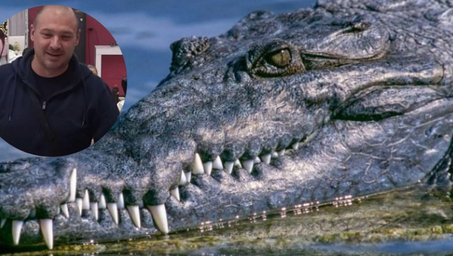 "ISTETOVIRAĆU KROKODILA" Bojan Simić doneo konačnu odluku, a za Ivanu Šašić ne želi ni da čuje