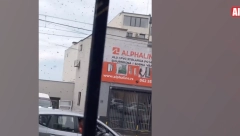ROJ PČELA NAD BEOGRADOM, STANOVNICI PREPLAŠENI Sa vrha zgrade spustile se na ulicu i prolaznike (VIDEO)