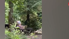 SKANDALOZNI SNIMAK IZ BANJIČKE ŠUME Skinuli pantalone na mestu gde se okupljaju deca (VIDEO)