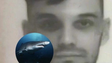 TIGAR AJKULA JEDNA OD NAJOPASNIJIH ZA LJUDE Juče je ubila Rusa u Hurgadi, nastanjuje sva mora u kojima se ljudi kupaju!