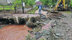 UŽASNE POSLEDICE SUPERĆELIJSKIH OLUJA U SRBIJI Stručnjaci izneli prognozu: Trebaće decenije, evo kolika je šteta