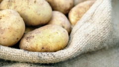 MIHAILO JE OTIŠAO U PODRUM PO KROMPIR I NA MESTU PAO MRTAV Par minuta kasnije isto se desilo i njegovoj ženi, razlog je bizaran