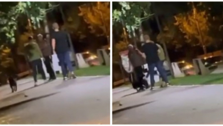 ŠUTNUO PSA U GLAVU PA NAPAO VLASNIKA Stravične scene nasilja u centru Beograda (VIDEO)