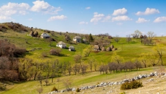 "ŽIVOT NA SELU JE ČISTA AGONIJA" Žena se iz grada preselila na selo i doživela nešto potpuno neočekivano