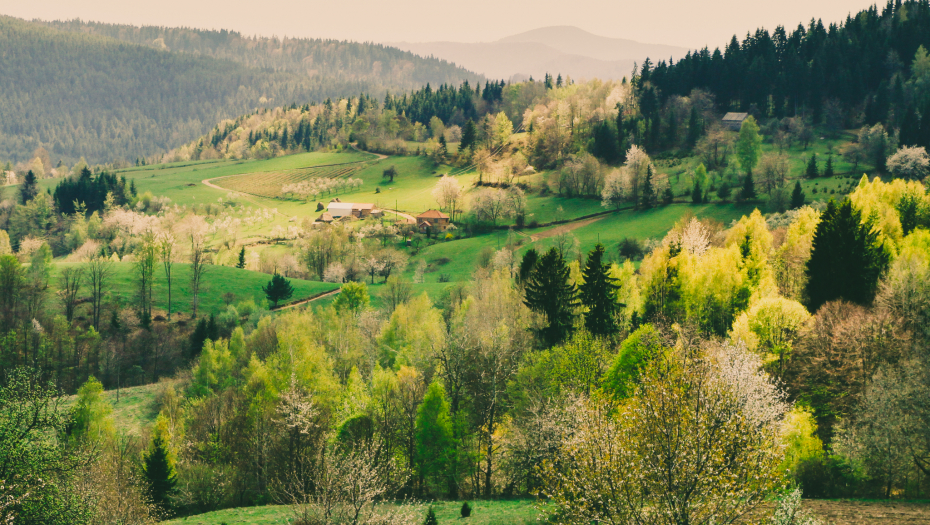 OVA SRPSKA PLANINA JE NOVA ATRAKCIJA Sve ostale pale u drugi plan, dolaze i stranci, a evo šta se ovde nikako ne propušta!