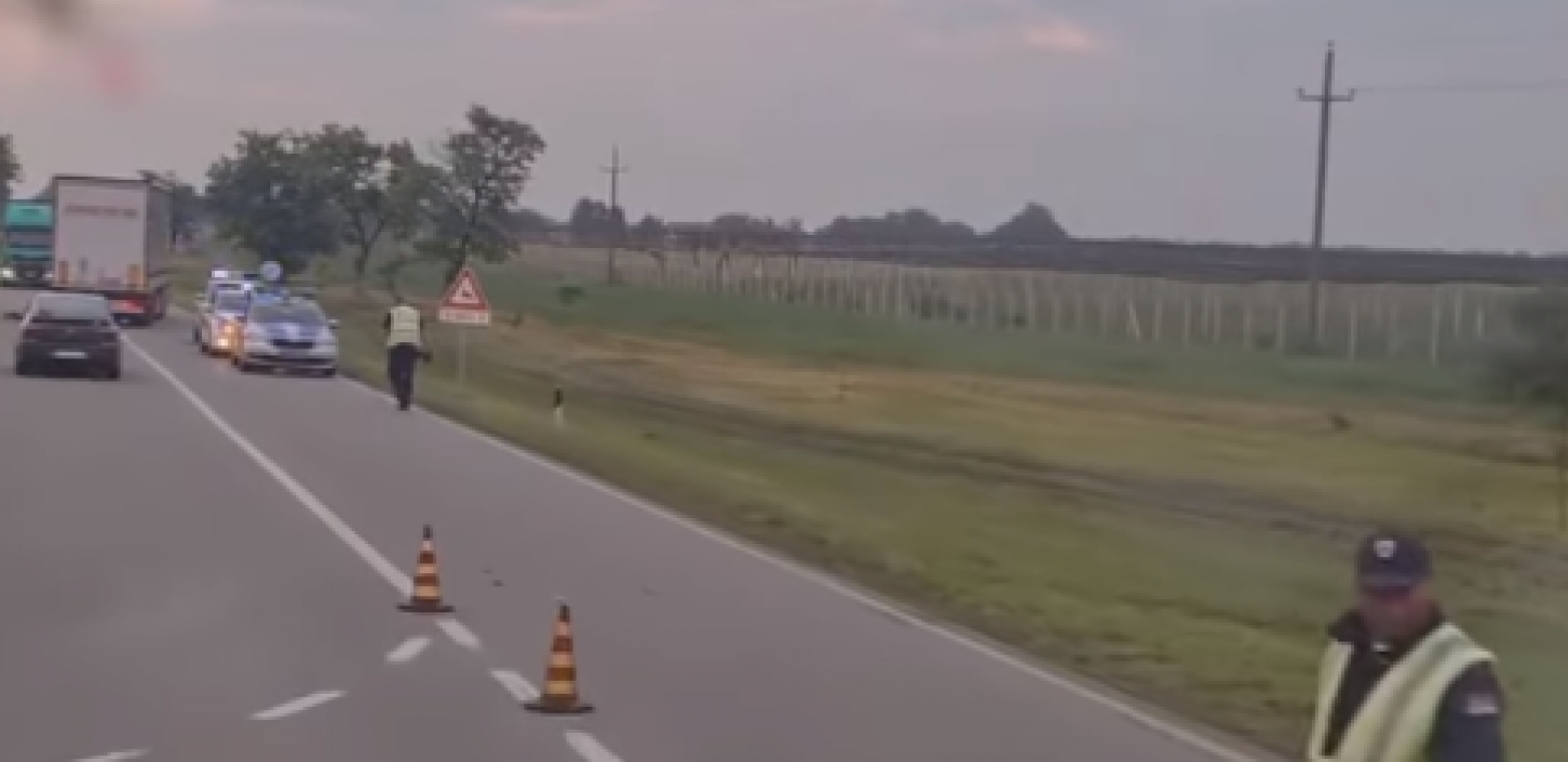 DETALJI TRAGEDIJE KOD BAČKE TOPOLE U sudaru dva automobila poginuli vozač i suvozač iz "forda"