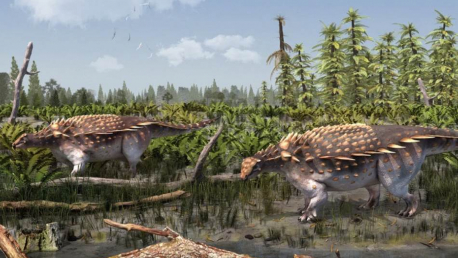 NA GROBLJU DINOSAURUSA NAĐENA NOVA VRSTA Naučnici zapanjeni: Sav je u šiljcima i oklopu