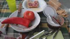 "NEMA PRELAZNU OCENU" Srpkinja pokušala da odbrani Paraliju i PARADAJZ TURISTE od pogrdnih komentara, pa usledio HLADAN TUŠ