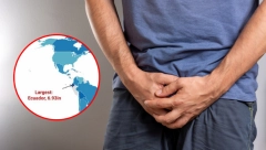 EVO KO IMA NAJVEĆI U REGIONU Srbi ispred Hrvata, a evo gde su Albanci po zvaničnim podacima