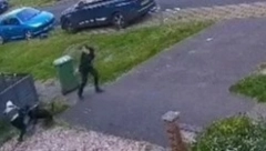 ZASTRAŠUJUĆI NAPAD ROTVAJLERA Pas dete bacao kao "krpenu lutku", niko nije mogao da ga obuzda