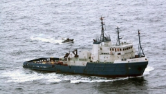 NOVI ALFA PREDATOR STIGAO U SREDOZEMLJE Nižu se napadi, love u jatu! Potopili jahtu od 12 metara! (VIDEO)