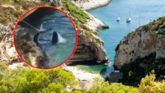 HRVAT VEZAO MORSKOG PSA ZA REP Uznemirujuće scene na Jadranu, zver se otima svom silom! (FOTO)