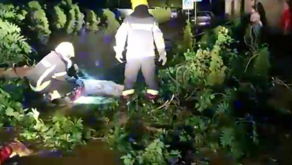 STRAŠNO NEVREME ZAHVATILO SEVER ZEMLJE Vetar obarao drveće, nestala struja, izbio požar