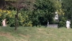 UŽAS NA KOŠUTNJAKU Udario je, a kada su prišli da joj pomognu ona se samo okrenula