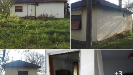 U SRBIJI MOŽE DA SE KUPI KUĆA I ZA 8.000 EVRA Ima samo jedna caka