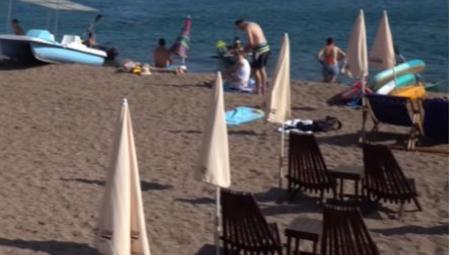 NA MORE UZ BOŽJU POMOĆ  Lik potpuno izdominirao! Neverovatna scena na putu izazvala smeh na mrežama (VIDEO)