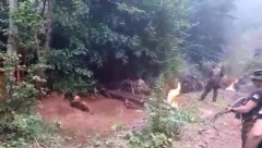 ALBANSKE ŠUMOKRADICE KRADU U ATARIMA KURŠUMLIJSKIH SELA Provalili u tri kuće, pa ih opustošili!