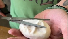 NAĐENO JAJE IZ 3. VEKA Kad je otkriveno šta je u njemu usledio šok