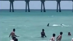 "BEŽITE IZ VODE" Prava drama na čuvenoj plaži - nastao haos (VIDEO)