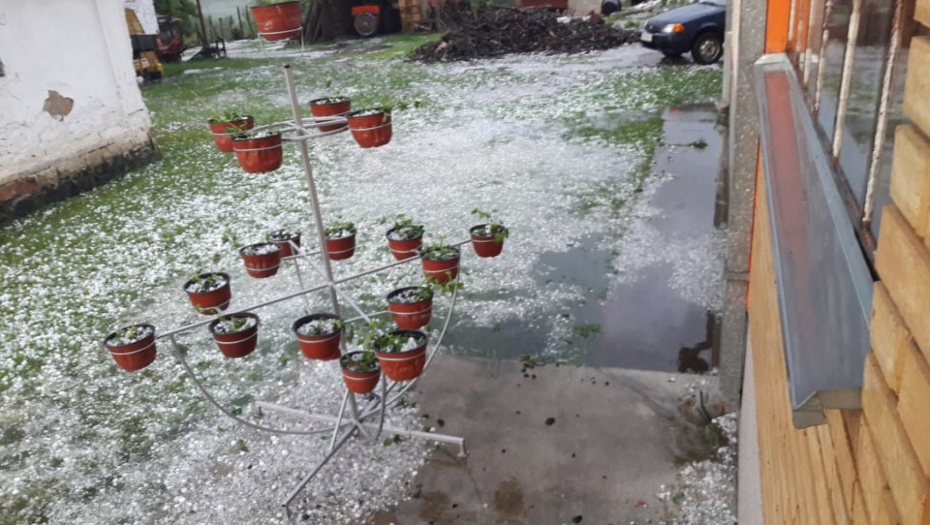 JAK GRAD STUKAO VOĆNJAKE U SRPSKOJ TOSKANI Tuga šta je ostalo posle nevremena