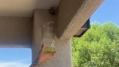 SA ČAŠOM BENZINA KRENUO NA OSINJAK Ono što je uradio šokiralo ljude