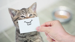 Postoji bezbroj načina da vam vaša MACA pokaže da je SREĆNA, a jedan će da vam  OTOPI SRCE