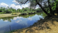 OVO ODNOSI MLADE ŽIVOTE U SRBIJI Za tragediju dovoljno samo nekoliko sekundi (FOTO)