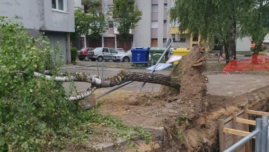 Nevreme u Hrvatskoj: Snažan vetar čupao stabla iz korena (FOTO)
