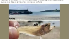 "DOK OVO PIŠEM I DALJE DRŽIM NOGU" Srbin se valjao od bolova na grčkoj plaži, pa odmah uzeo telefon i alarmirao naše turiste