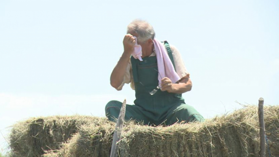 KOLIKO NAS KOŠTA OVOGODIŠNJA SUŠA Poljoprivrednici kažu stanje katastrofalno