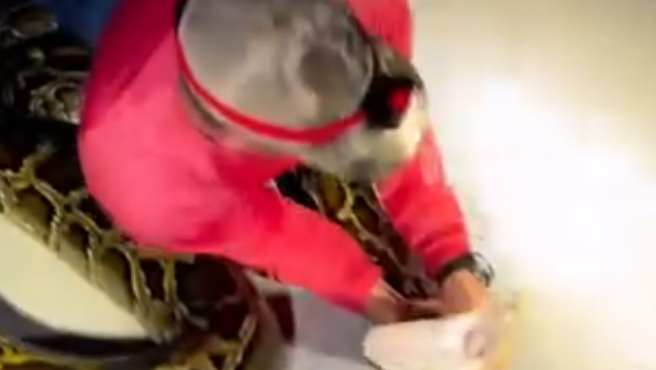 UHVAĆEN NAJVEĆI PITON SVIH VREMENA Težak 57 kilograma, jedva ga drži sa dve ruke (VIDEO)