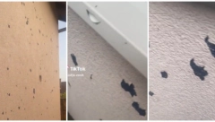 U VRBASU KAO DA SU BOMBE PADALE Ljudi i dalje ne mogu da dođu sebi posle jakog nevremena, šteta je velika
