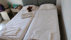 DRUGA STRANA MEDALJE Agencija objasnila slučaj izbacivanja iz smeštaja: Uplate jeftiniji aranžman, pa se posle žale