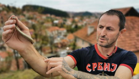 "NEKAD SE GNEZDE U NAŠIM ORMARIMA" Zmijolovac Arsenije opisuje opasnu borbu protiv stršljena